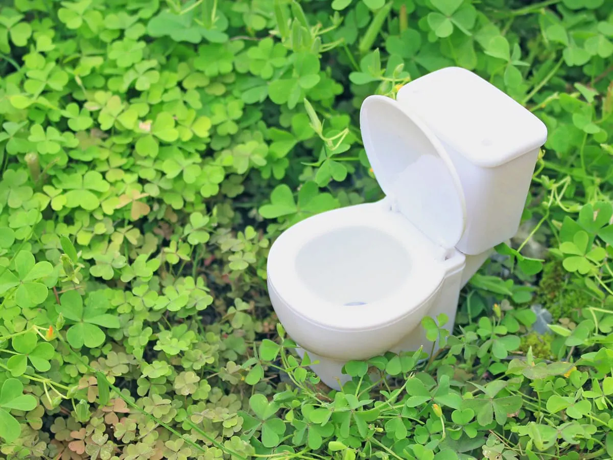 狭いトイレでも収納を確保 コンパクト収納ですっきりとしたトイレ空間に 収納デザインソムリエ 南海プライウッド株式会社