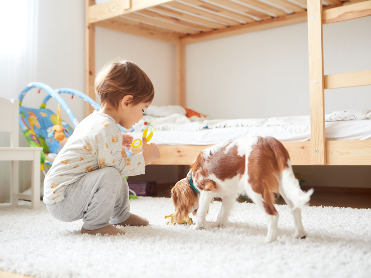 小さい子どもとペットのイメージ